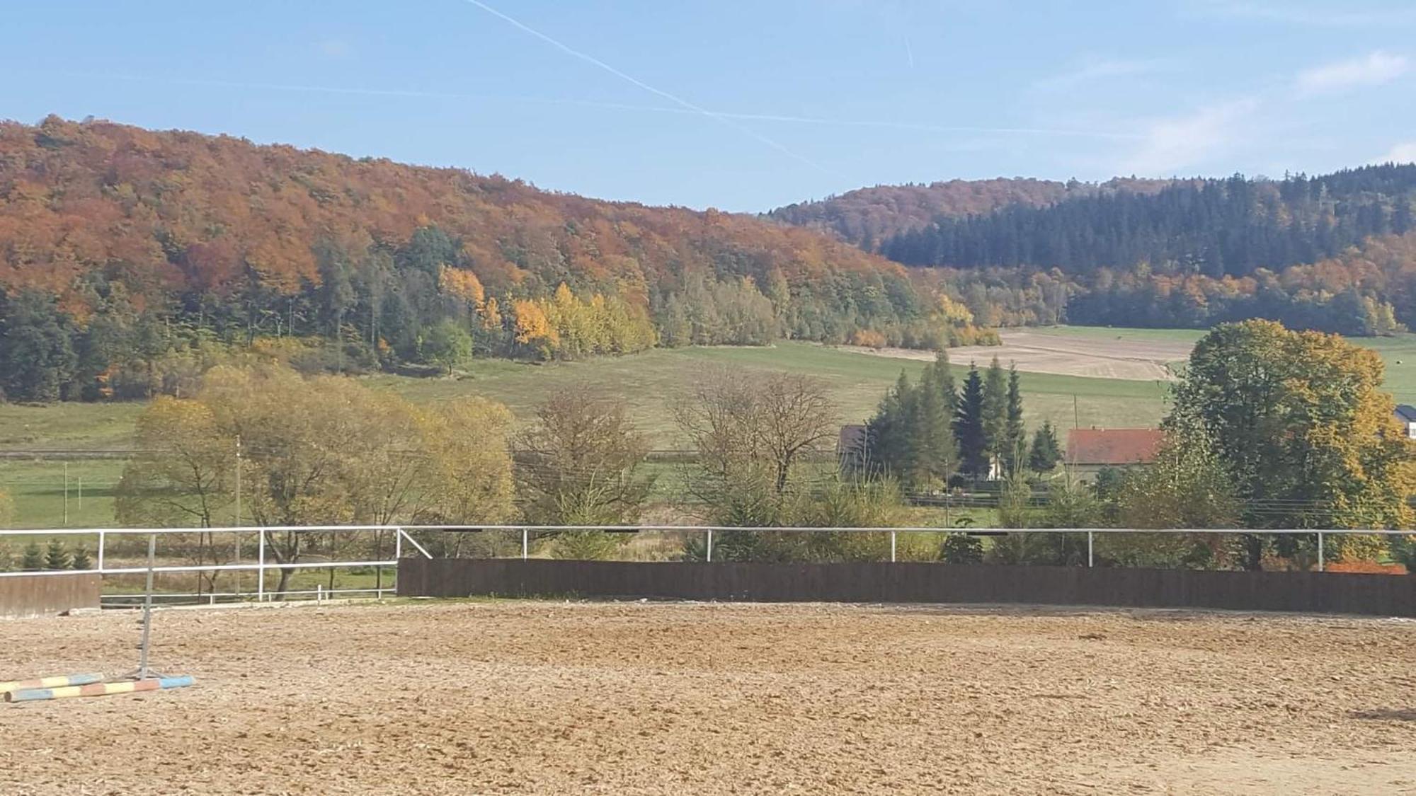 Agroturystyka Agro-Podkowka Marciszow Exterior foto
