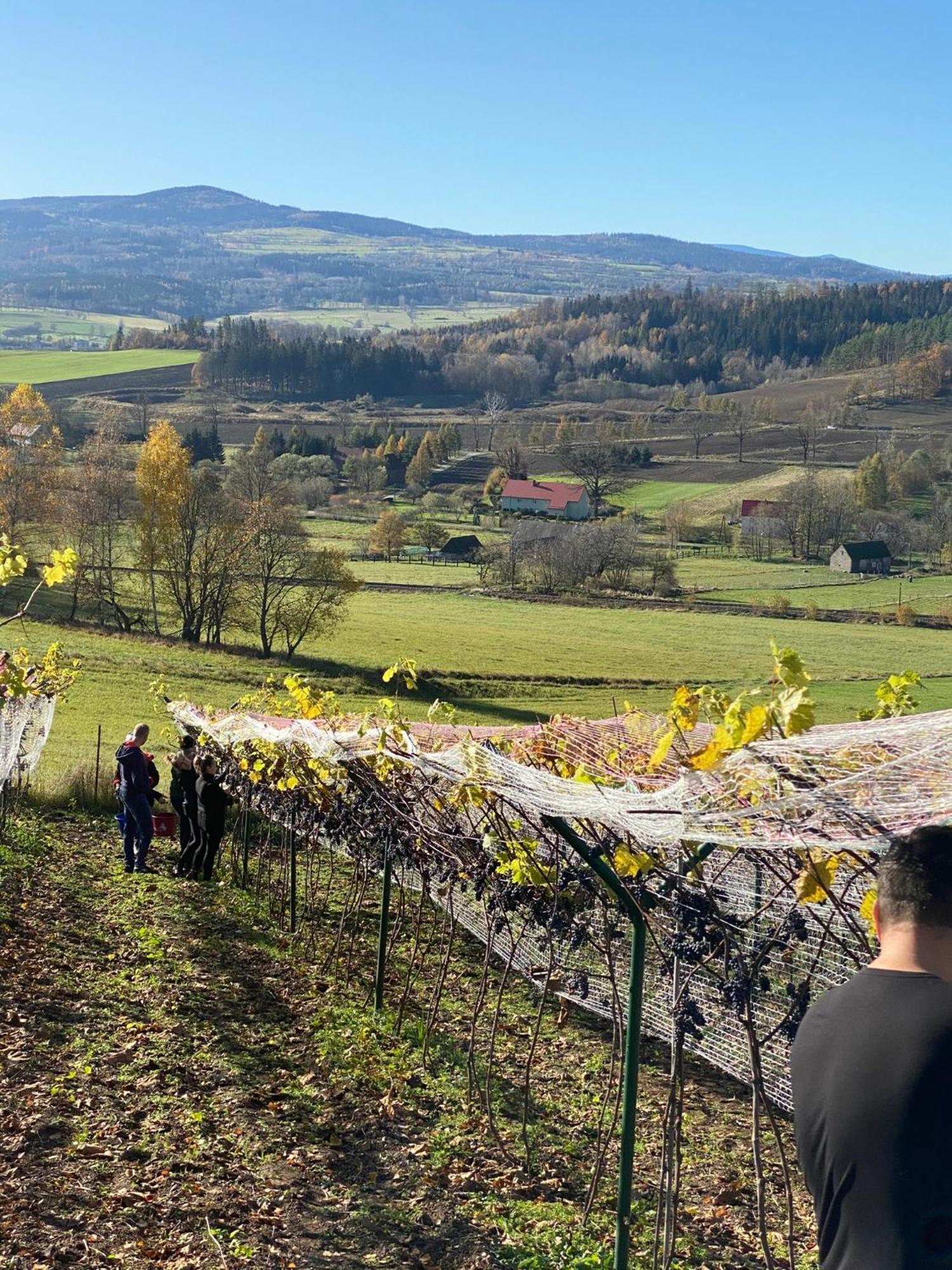 Agroturystyka Agro-Podkowka Marciszow Exterior foto